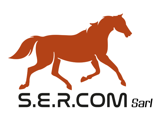 COMBIEX - VENTE DE VOITURES